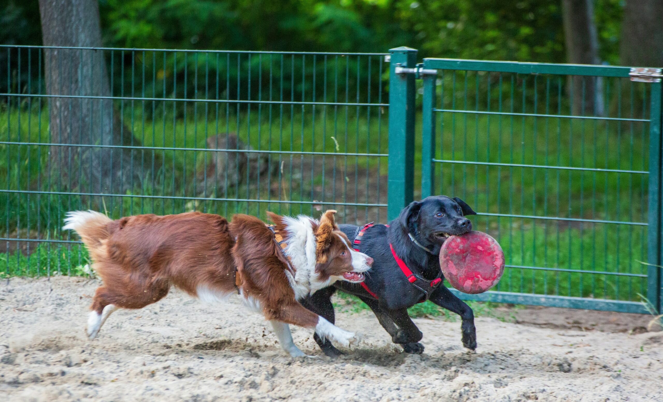 Glöm inte årsmötet