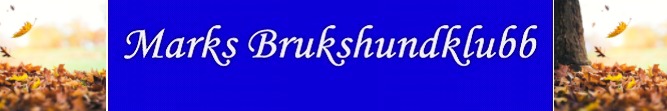 Marks Brukshundklubb
